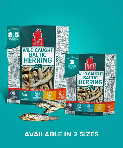 Plato Wild-Caught Baltic Herring Dog Treats - Single-Ingredient Whole Fish for Omega-3 Skin & Coat Support - Air-Dried, Grain-Free, High-Protein Natural Treats